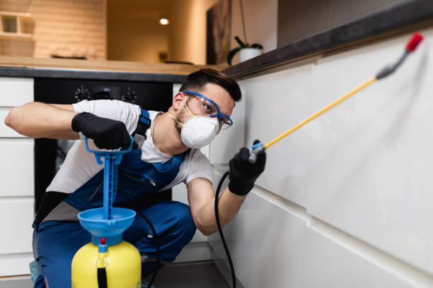 Best Affordable Pest Control Services  in Warren Park, IN