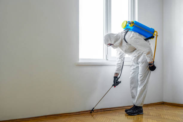 Best Rat Extermination Near Me  in Warren Park, IN
