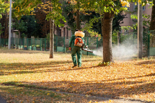 Best Local Pest Control Services  in Warren Park, IN